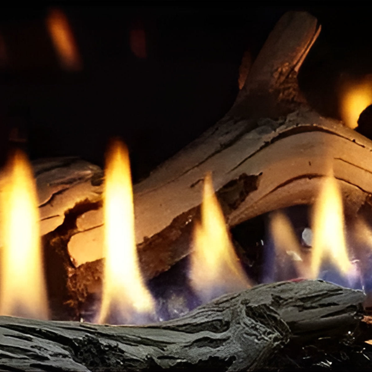 Majestic Driftwood Log Set - DRTWOOD-JADE