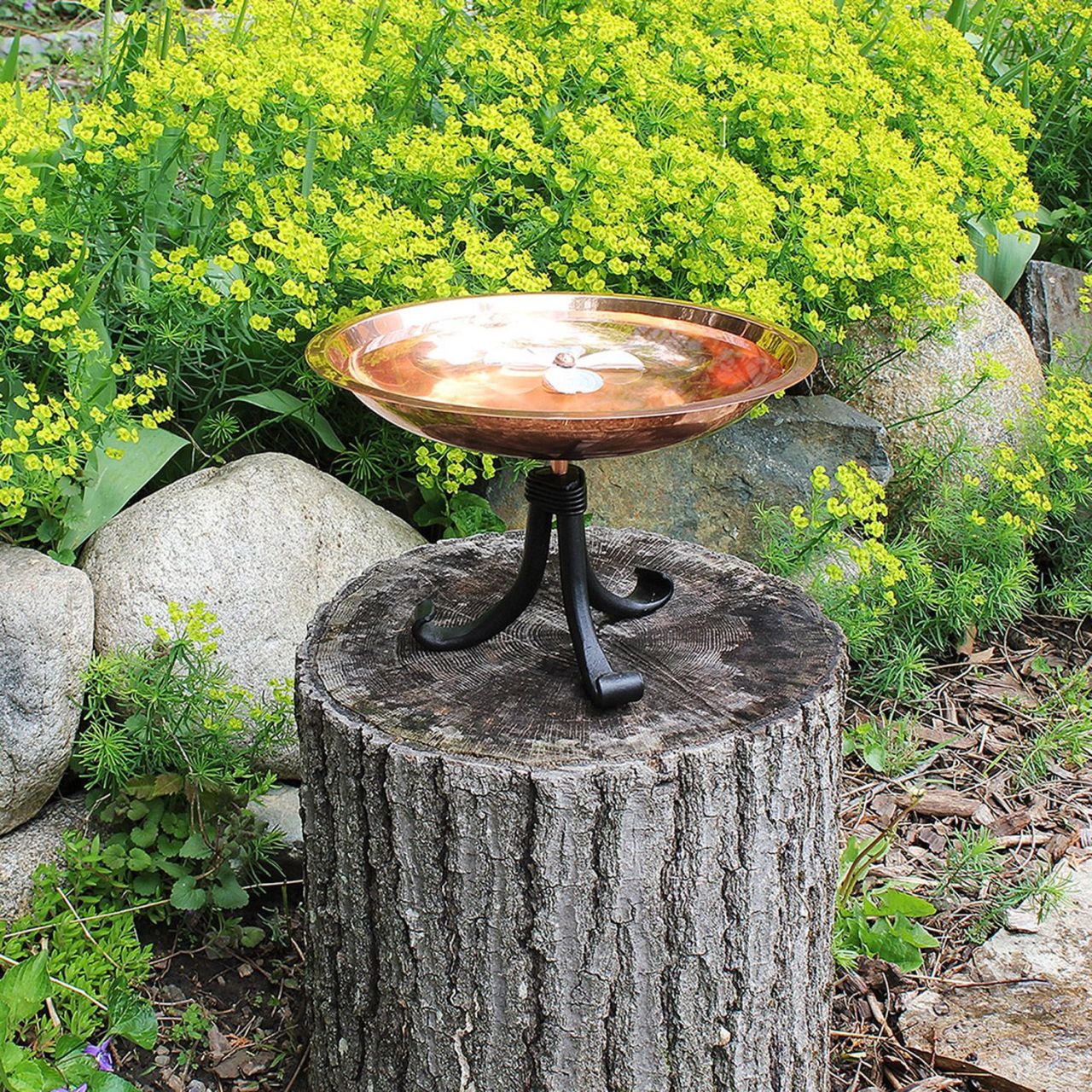 12" CopperDogwood Birdbath with Tripod Stand