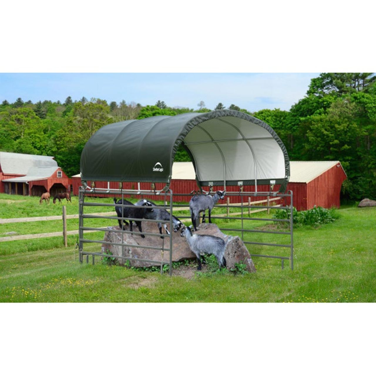 Corral 10' x 10' Livestock Shelter - Green
