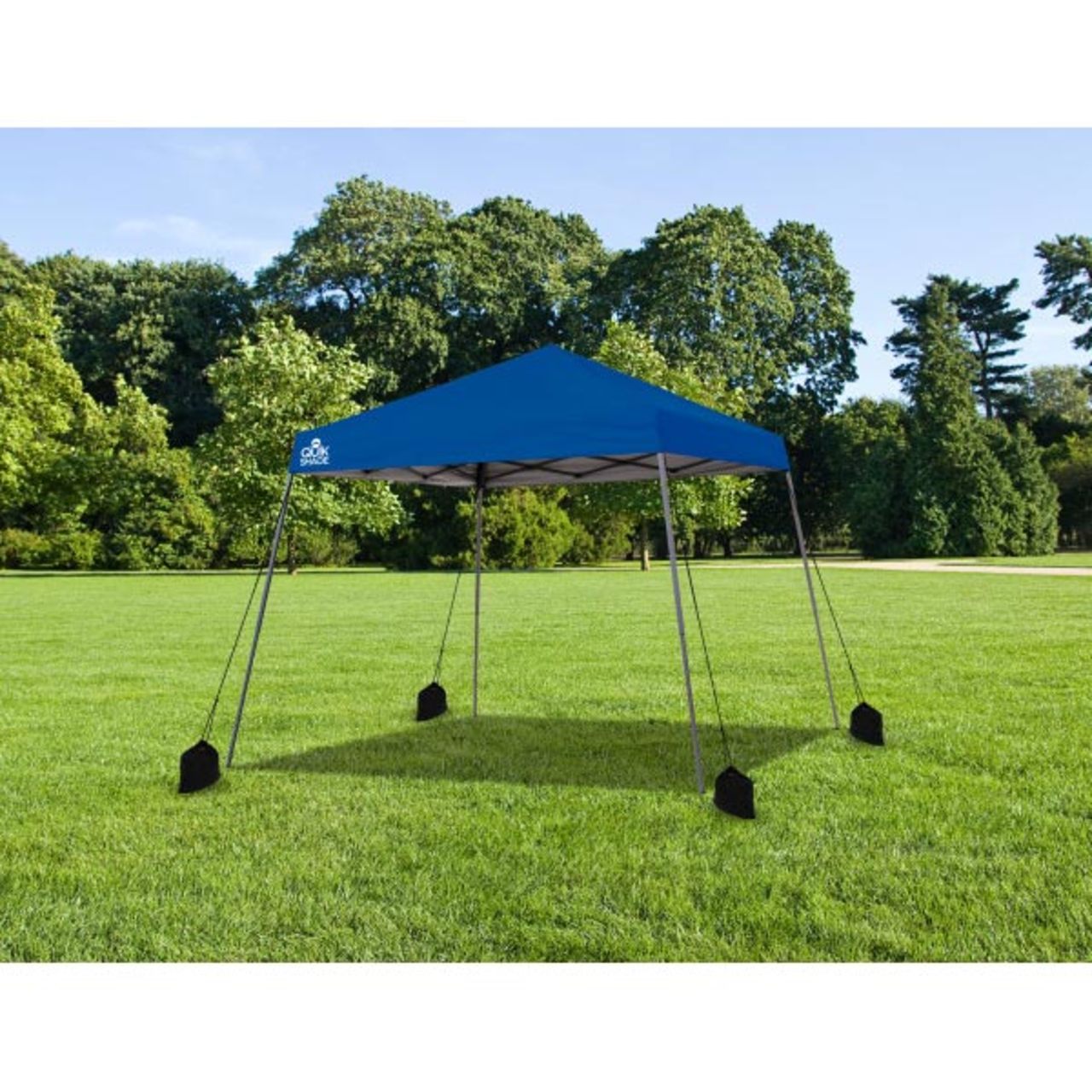 Canopy Weight Bags - Black