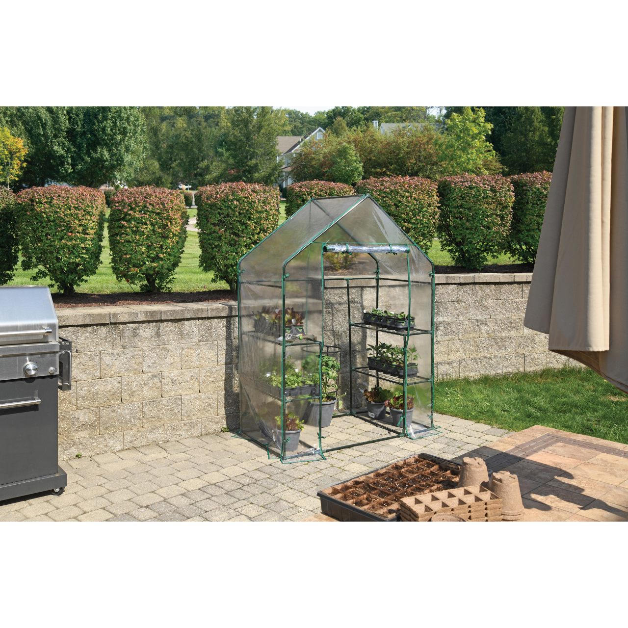 Grow IT 4' 8" x 29" x 6' 5" Small Greenhouse - Clear Cover