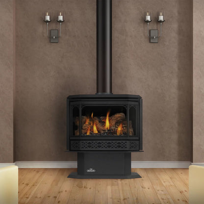 Napoleon Havelock 50 Direct Vent Gas Stove GDS50-1NSB
