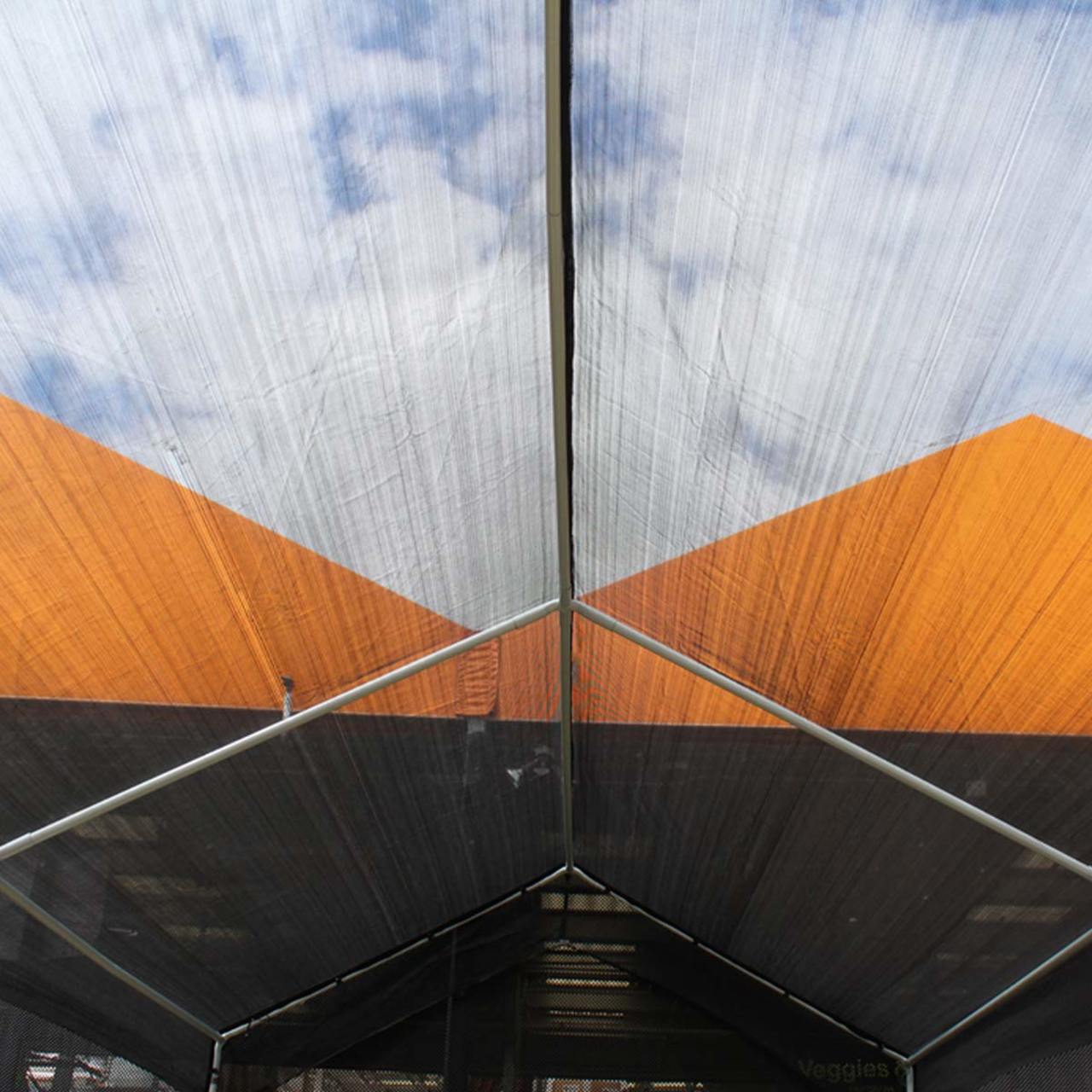 King Canopy  10' x 20' Black Garden Shade Canopy